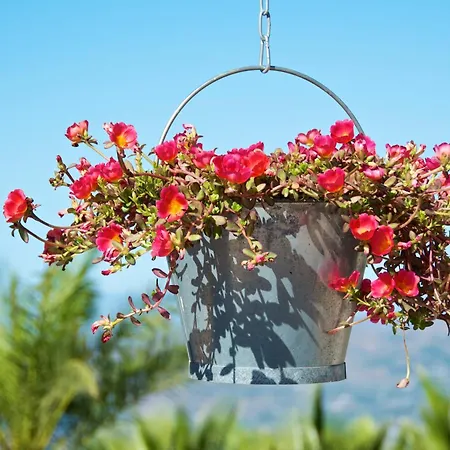 Bed and breakfast El Pajarero *