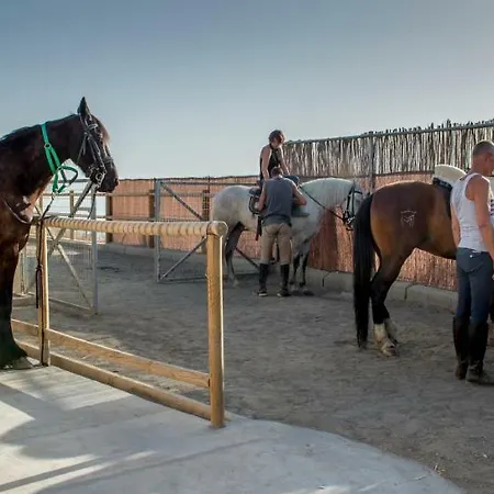 Bed & Breakfast El Pajarero